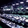 Đèn LED nhà xưởng UFO 40W