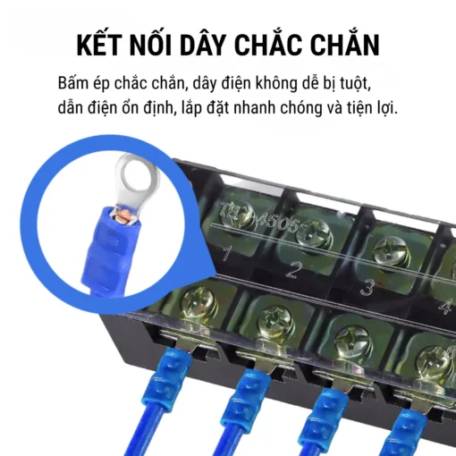 Đầu cos tròn RV 2-3 bằng đồng bọc nhựa nối dây điện 1.5 ~ 2.5 mm², lỗ 3.2mm